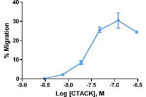 Cells expressing recombinant CCR1 were assayed for migration through a transwell filter at various concentrations of MIP-1α.