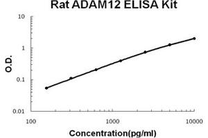 Rat ADAM12 PicoKine ELISA Kit standard curve