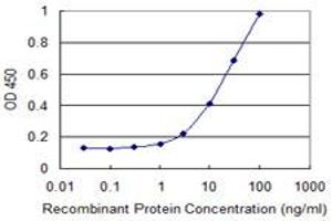 Detection limit for recombinant GST tagged CXCL16 is 1 ng/ml as a capture antibody. (CXCL16 antibody  (AA 49-273))