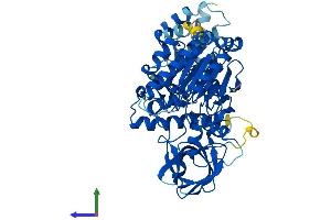 Protein Structure (PS) image for Polymerase (DNA Directed), epsilon 2 (p59 Subunit) (POLE2) (AA 1-527) protein (His tag) (ABIN7547232)