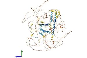 AlphaFold protein structure predicition of Human Recombinant KANSL1 Protein, UniprotID Q7Z3B3 (KANSL1 Protein (AA 1-1105) (His tag))