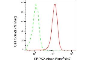 Flow cytometric analysis of SRPK2 expression in HepG2 cells using SRPK2 antibody (ABIN7800327), 1:2,000). (SRPK2 antibody)