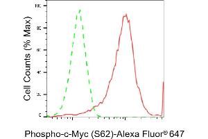 Flow cytometric analysis of Phospho-c-Myc (S62) expression in HeLa cells using Phospho-c-Myc (S62) antibody (ABIN7799503), 1:2,000). (Recombinant c-MYC antibody  (pSer62))