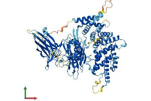 AlphaFold protein structure predicition of Human Recombinant RASA4B Protein, UniprotID C9J798 (RASA4B Protein (AA 1-803) (His tag))