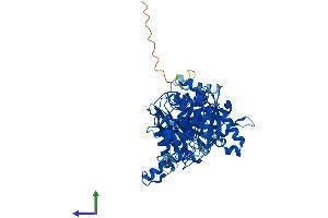 AlphaFold protein structure predicition of Human Recombinant CTPS2 Protein, UniprotID Q9NRF8