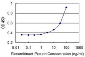 Detection limit for recombinant GST tagged LIMD1 is 1 ng/ml as a capture antibody. (LIMD1 antibody  (AA 577-674))