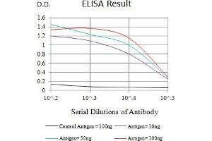 Black line: Control Antigen (100 ng),Purple line: Antigen (10 ng), Blue line: Antigen (50 ng), Red line:Antigen (100 ng) (CLEC4D antibody  (AA 39-215))