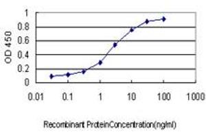 Detection limit for recombinant GST tagged TGIF is approximately 0. (TGIF1 antibody  (AA 163-272))