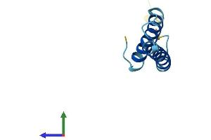 AlphaFold protein structure predicition of Mouse Recombinant Tmem258 Protein, UniprotID P61166 (TMEM258 Protein (AA 1-79) (Fc Tag))