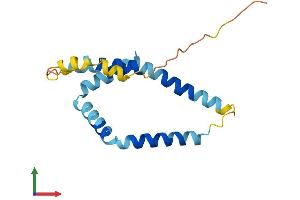 AlphaFold protein structure predicition of Human Recombinant FUNDC1 Protein, UniprotID Q8IVP5