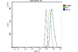 Flow Cytometry analysis of PC-3 cells using anti-HES5 antibody (ABIN7598966). (HES5 antibody  (AA 1-121))