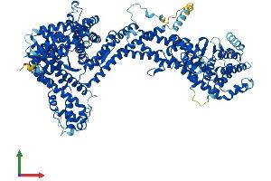 AlphaFold protein structure predicition of Human Recombinant NCKAP1L Protein, UniprotID P55160 (NCKAP1L Protein (AA 1-1127) (His tag))