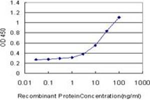 Detection limit for recombinant GST tagged GRN is approximately 1ng/ml as a capture antibody. (Granulin antibody  (AA 494-593))