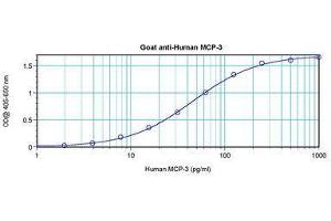 Image no. 3 for anti-Chemokine (C-C Motif) Ligand 7 (CCL7) antibody (ABIN465565) (CCL7 antibody)
