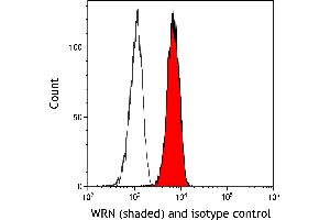 Flow Cytometry (FACS) image for anti-Werner syndrome RecQ like helicase (WRN) (C-Term) antibody (ABIN7795757) (Recombinant RECQL2 antibody  (C-Term))