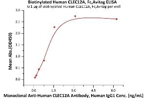 Immobilized Biotinylated Human CLEC12A, Fc,Avitag (ABIN6973030) at 1 μg/mL (100 μL/well) on streptavidin  precoated (0.