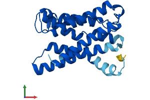 AlphaFold protein structure predicition of Mouse Recombinant Kdelr2 Protein, UniprotID Q9CQM2
