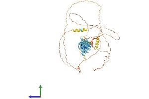 AlphaFold protein structure predicition of Mouse Recombinant Ajuba Protein, UniprotID Q91XC0 (AJUBA Protein (AA 1-547) (His tag))