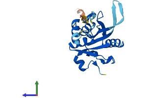 AlphaFold protein structure predicition of Human Recombinant JOSD2 Protein, UniprotID Q8TAC2 (JOSD2 Protein (AA 1-188) (His tag))