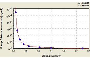 SAA1 ELISA Kit