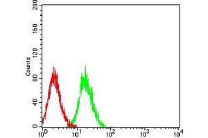 Flow cytometric analysis of HL-60 cells using CD127 mouse mAb (green) and negative control (red). (IL7R antibody  (AA 21-239))