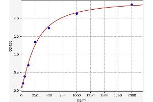 Chemokine (C-X-C Motif) Ligand 10 (CXCL10) ELISA Kit
