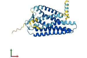 AlphaFold protein structure predicition of Human Recombinant OR13C7 Protein, UniprotID P0DN81 (OR13C7 Protein (AA 1-318) (His tag))