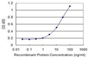 Detection limit for recombinant GST tagged DCK is 0. (DCK antibody  (AA 161-260))