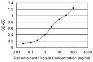 Detection limit for recombinant GST tagged MEIS3 is 0. (MEIS3 antibody  (AA 1-110))