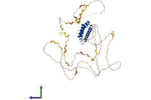 Protein Structure (PS) image for BCL2-Associated Athanogene 4 (BAG4) (AA 1-457) protein (His tag) (ABIN7552570)