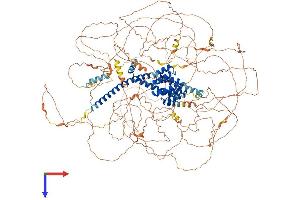 AlphaFold protein structure predicition of Human Recombinant RPRD2 Protein, UniprotID Q5VT52 (RPRD2 Protein (AA 1-1461) (His tag))