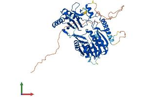 Protein Structure (PS) image for tRNA Methyltransferase 2 Homolog B (TRMT2B) (AA 1-504) protein (His tag) (ABIN7544628)