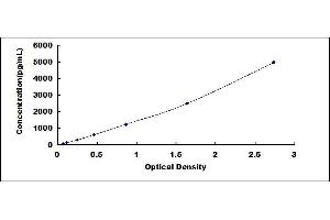 Typical standard curve (ENO1 ELISA Kit)