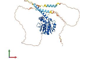 Protein Structure (PS) image for Ribosomal RNA Processing 8 (RRP8) (AA 1-456) protein (His tag) (ABIN7555285)