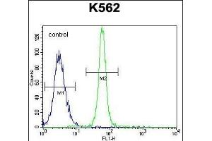 LRIT1 Antibody (C-term) (ABIN655361 and ABIN2844919) flow cytometric analysis of K562 cells (right histogram) compared to a negative control cell (left histogram). (LRIT1 antibody  (C-Term))