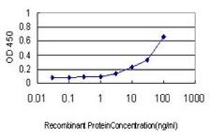 Detection limit for recombinant GST tagged ATG12 is approximately 1ng/ml as a capture antibody. (ATG12 antibody  (AA 1-74))