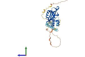 Protein Structure (PS) image for Apoptosis Enhancing Nuclease (AEN) (AA 1-325) protein (His tag) (ABIN7552035)