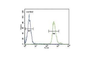 SD3- Antibody (ABIN653953 and ABIN2843175) flow cytometric analysis of MDA-M cells (right histogram) compared to a negative control cell (left histogram). (SMAD3 antibody  (AA 186-215))