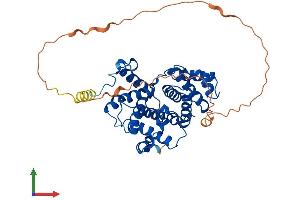 AlphaFold protein structure predicition of Human Recombinant CCNB2 Protein, UniprotID O95067 (Cyclin B2 Protein (CCNB2) (AA 1-398) (His tag))