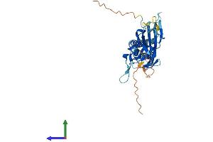 AlphaFold protein structure predicition of Human Recombinant KCNJ13 Protein, UniprotID O60928