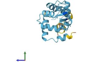 Protein Structure (PS) image for Cardiac Troponin C (TNNC1) (AA 1-161) protein (His tag) (ABIN7562935)