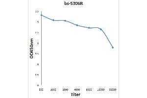 Antigen: 0. (E2F1 antibody  (pSer332))