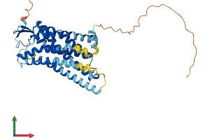Protein Structure (PS) image for Angiotensin II Receptor, Type 1 (AGTR1) (AA 1-359) protein (His tag) (ABIN7563076)