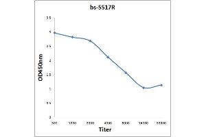 Antigen: 0. (NFKBIE antibody  (pSer157))