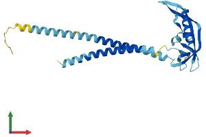 AlphaFold protein structure predicition of Mouse Recombinant Kcnmb2 Protein, UniprotID Q9CZM9