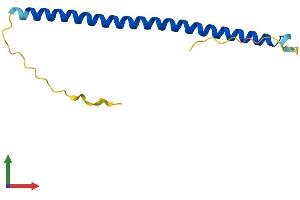 AlphaFold protein structure predicition of Mouse Recombinant Batf3 Protein, UniprotID Q9D275 (BATF3 Protein (AA 1-118) (His tag))