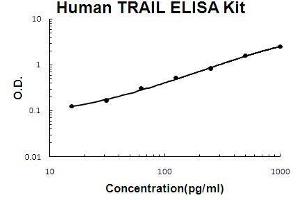 Human TRAIL PicoKine ELISA Kit standard curve (TRAIL ELISA Kit)