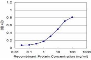 Detection limit for recombinant GST tagged WASF2 is approximately 0. (WASF2 antibody  (AA 73-172))