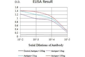 Black line: Control Antigen (100 ng),Purple line: Antigen (10 ng), Blue line: Antigen (50 ng), Red line:Antigen (100 ng) (CD96 antibody  (AA 321-519))
