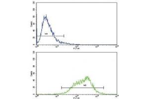 Flow cytometric analysis of CEM cells using LIF antibody (green) compared to a negative control (blue). (LIF antibody  (AA 72-101))